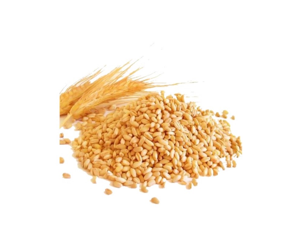 Soft Milling Wheat for Human Consumption