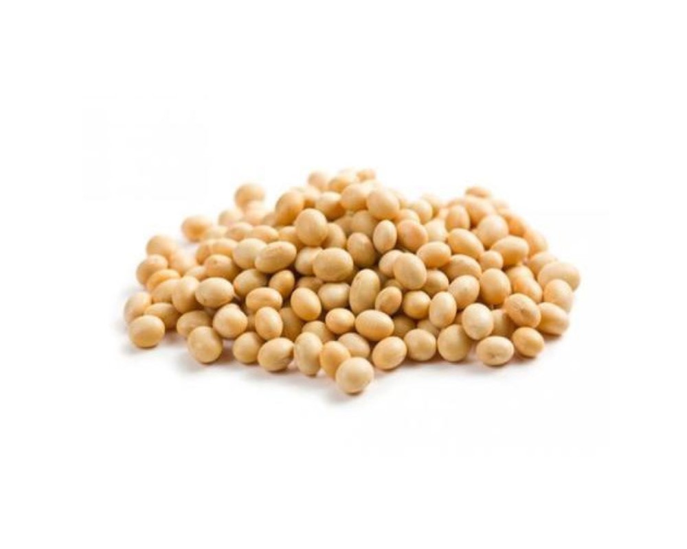 Soybean non gmo